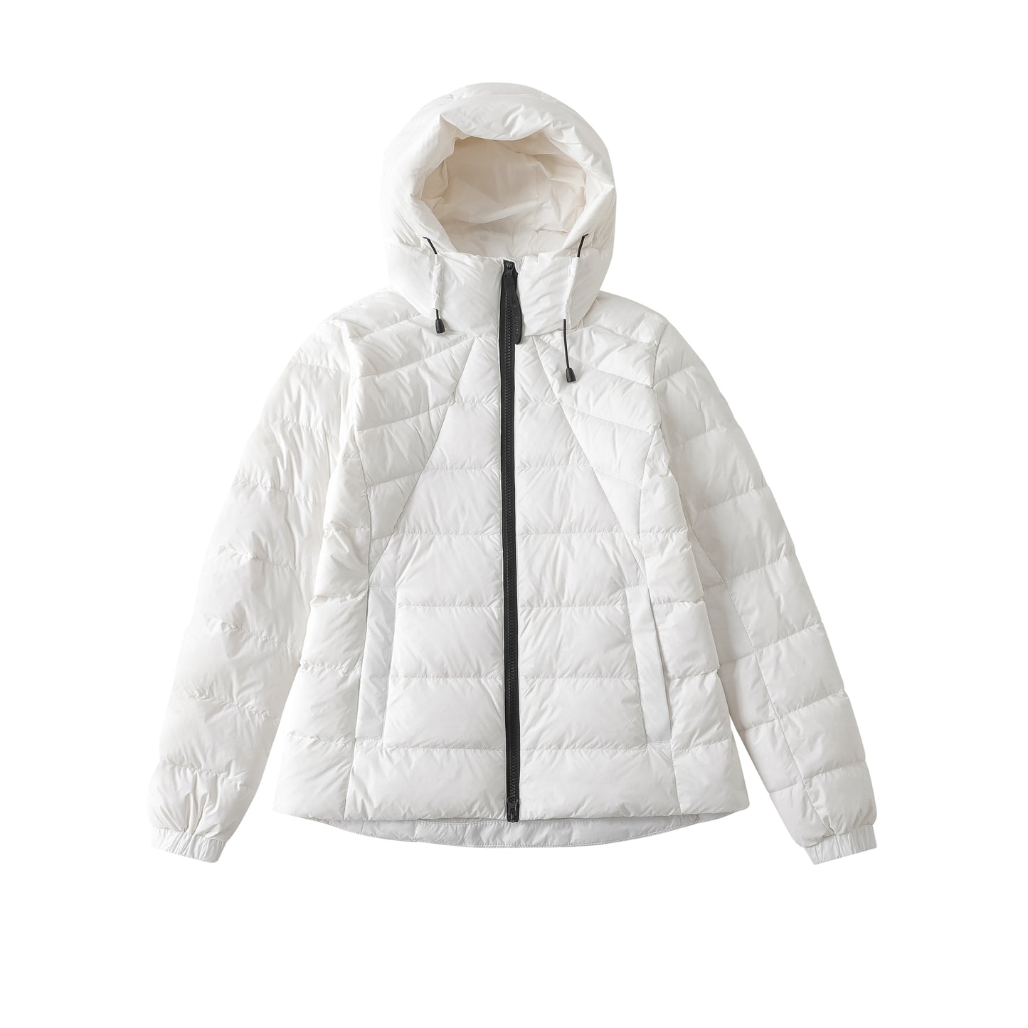 ABBOTT HOODY