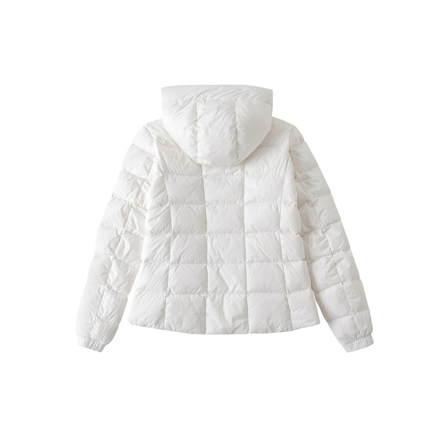 ABBOTT HOODY
